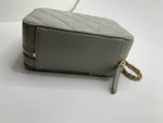 CHANEL Grey Lambskin Pearl Crush Mini Vanity Camera Bag in Aged Gold Hardware