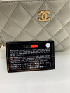 CHANEL Grey Lambskin Pearl Crush Mini Vanity Camera Bag in Aged Gold Hardware