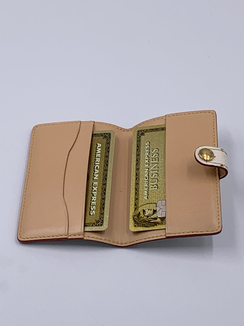 Sold-LOUIS VUITTON Multicolor Mini Agenda Card Case Planner