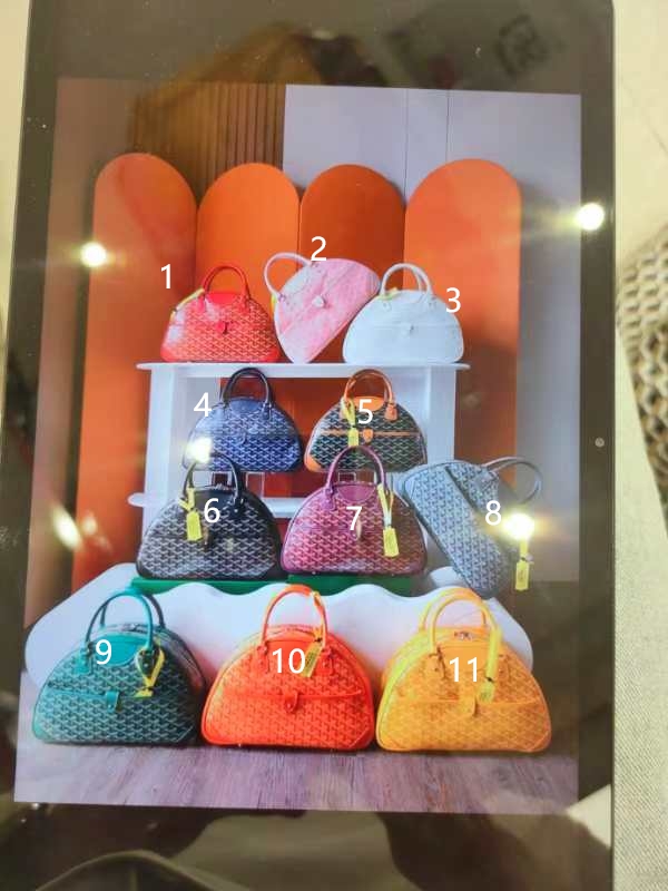 Goyard bowling bag 11 colors - الصورة 6